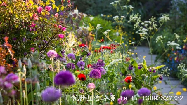 绿化养护