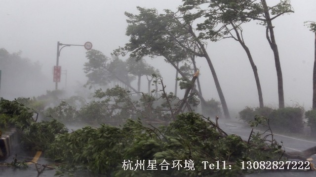 绿化养护