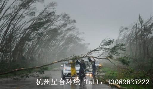 绿化养护台风