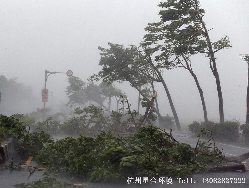 绿化养护台风天气
