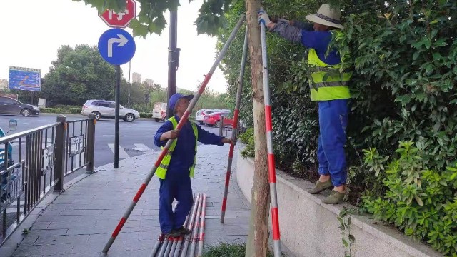 市政绿化养护