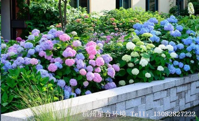 花园养护