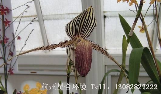 园林设计