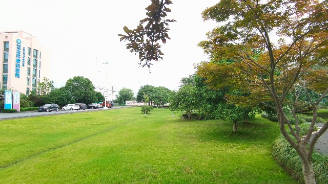 公园养护