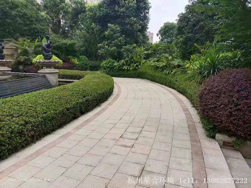 小区绿化养护