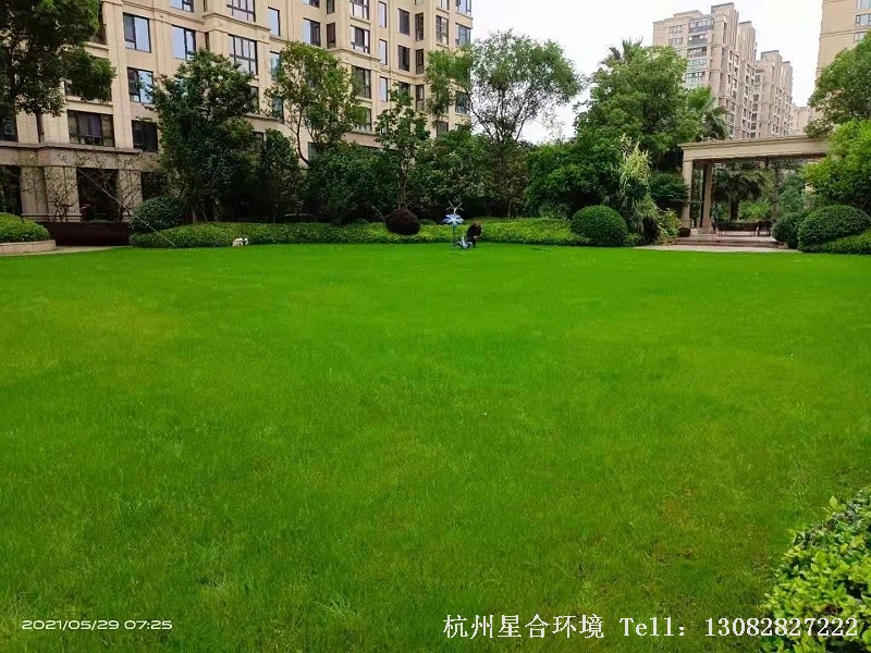 小区绿化养护