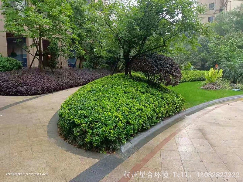 小区绿化养护