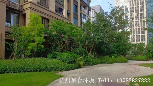 小区绿化养护-德信大悦湾公馆小区绿化养护