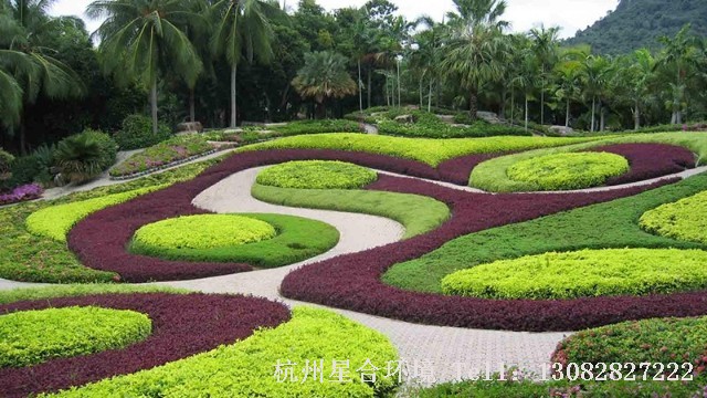 小区绿化养护-小区绿化养护中绿篱灌木频繁出现零星死亡的五大原因？