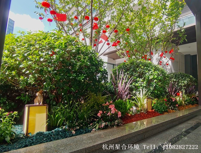 小区绿化养护彩色树皮的应用