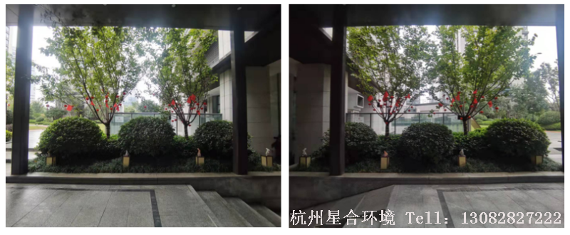 小区绿化养护主入口现状