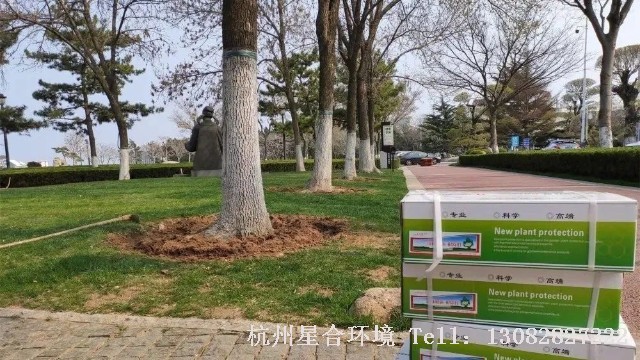绿化养护