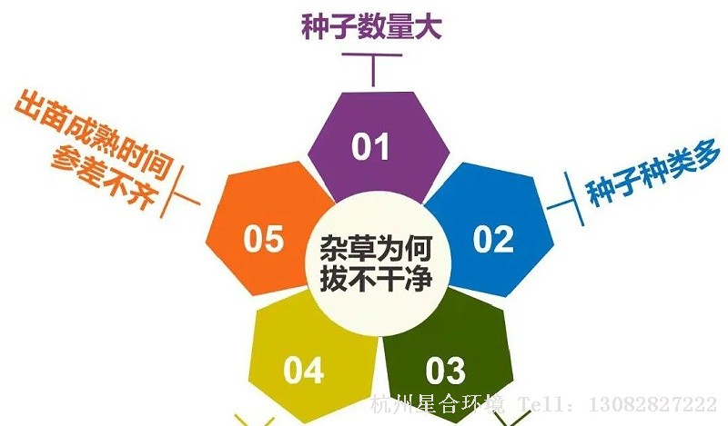 绿化养护-春季杂草防控技术要点