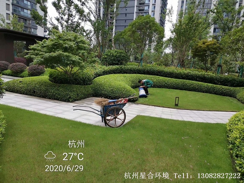 绿化养护