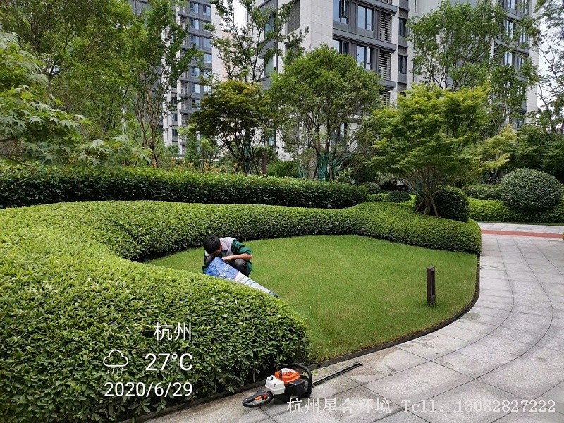 绿化养护