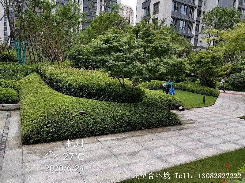 绿化养护