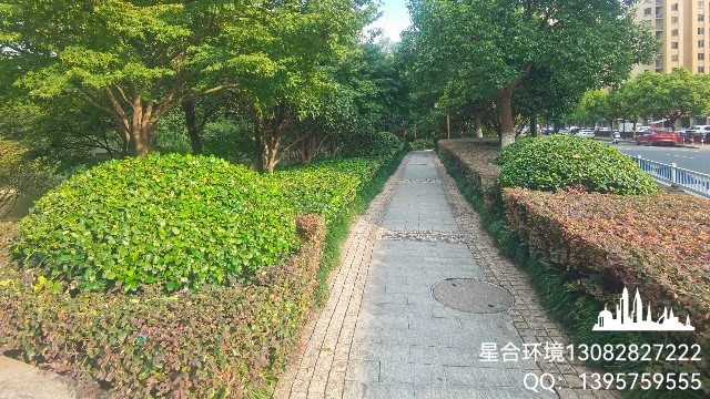 如何展开绿化养护管理工作?