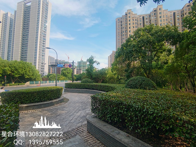 绿化养护管理工作的计划