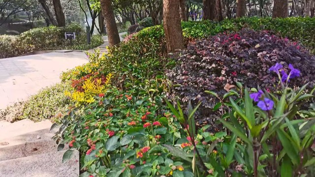 绿化工程-小区绿化工程-世纪新城小公园绿化施工项目