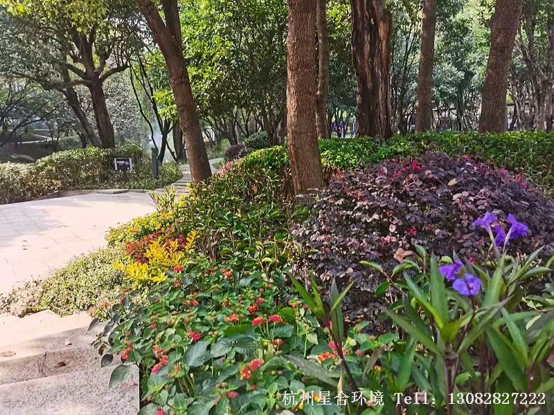 绿化工程