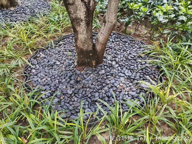 绿化工程