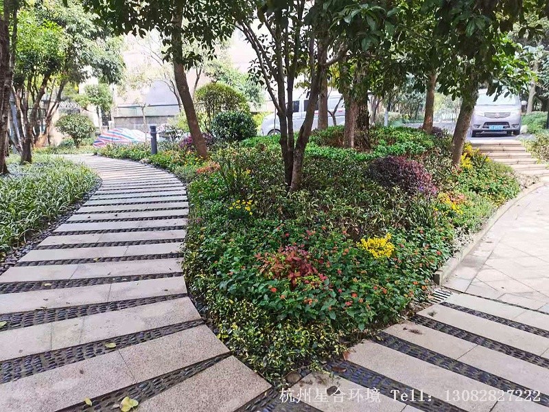 绿化工程