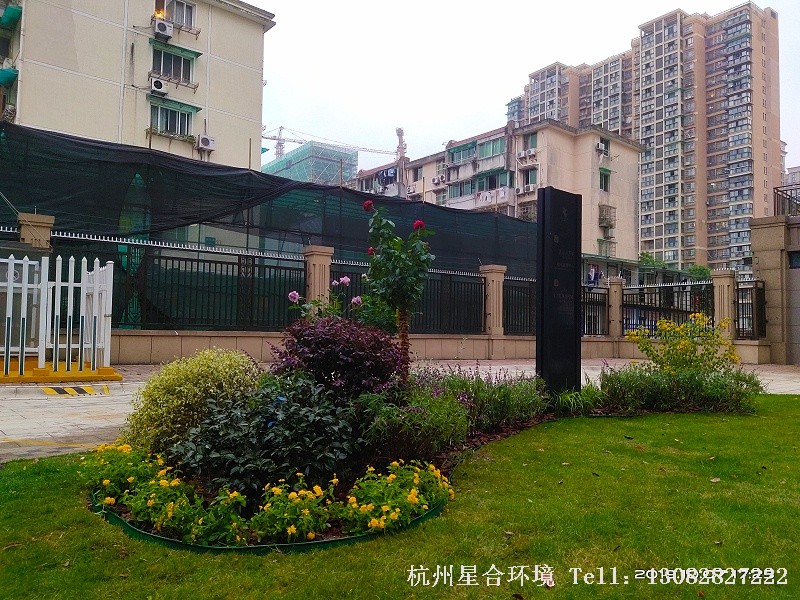 小区花境
