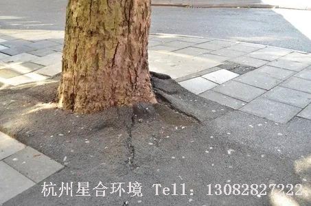 马路养护