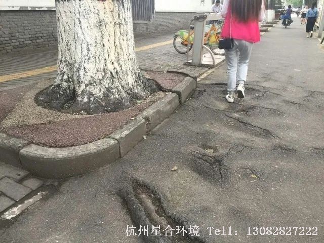 马路养护