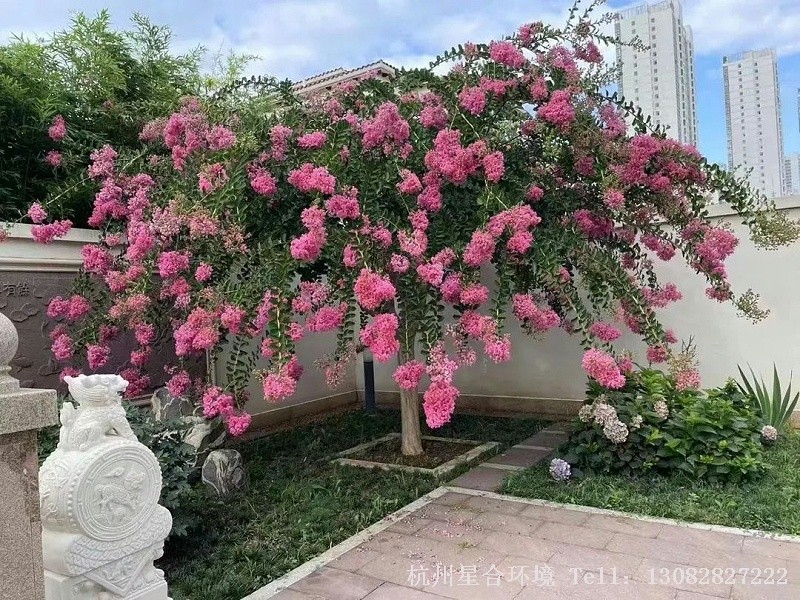 杭州小区养护
