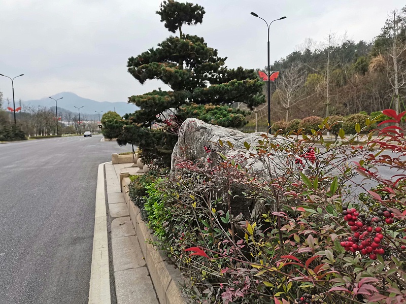 市政绿化养护