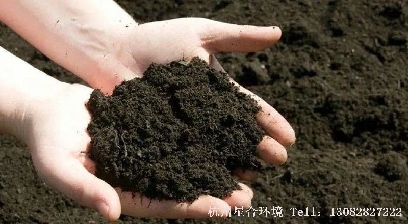 绿化养护
