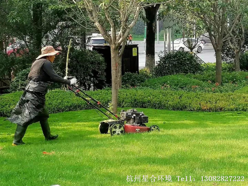 绿化养护大多数资料上说波尔多液呈碱性，绿化养护最好单独使用，不能与酸性药剂混用，忌与大多数杀虫、杀螨、杀菌剂、植物生长调节剂以及叶面肥混用，否则易分解失效。
