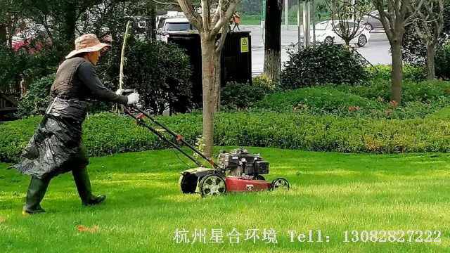 绿化养护