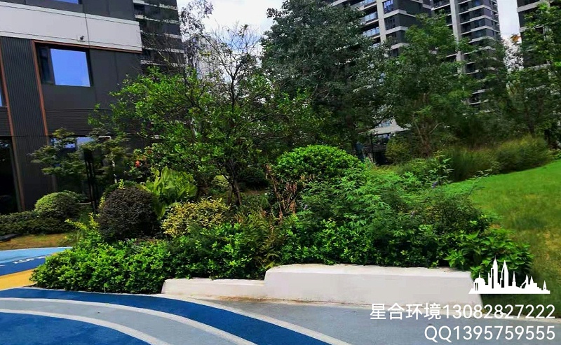 花境景观