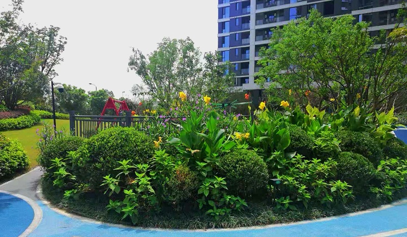 花境景观
