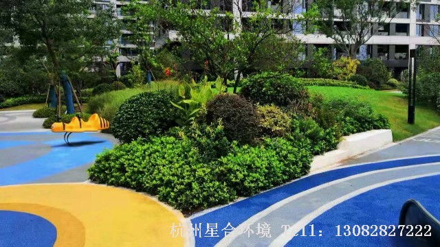 这样做的花境景观不仅大气而且还节约成本
