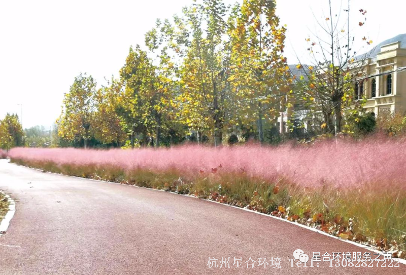 绿化种植