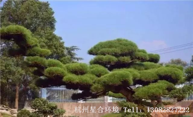 庭院施工
