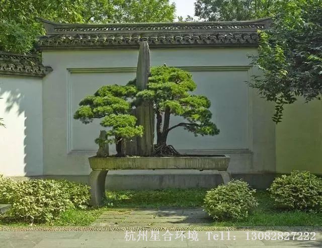 庭院施工