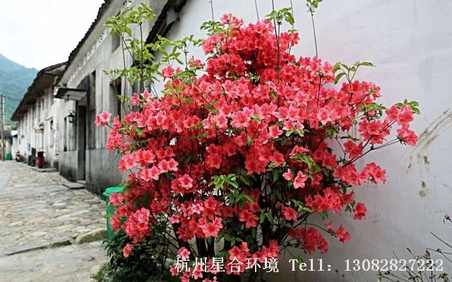 庭院施工