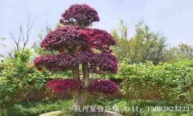 庭院施工