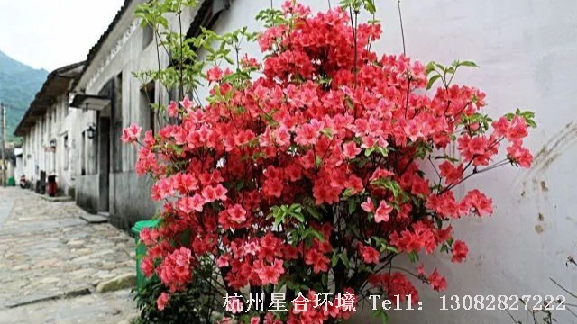 庭院施工