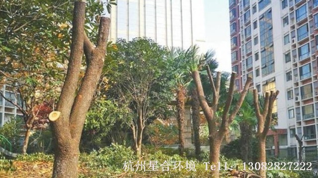 绿化工程