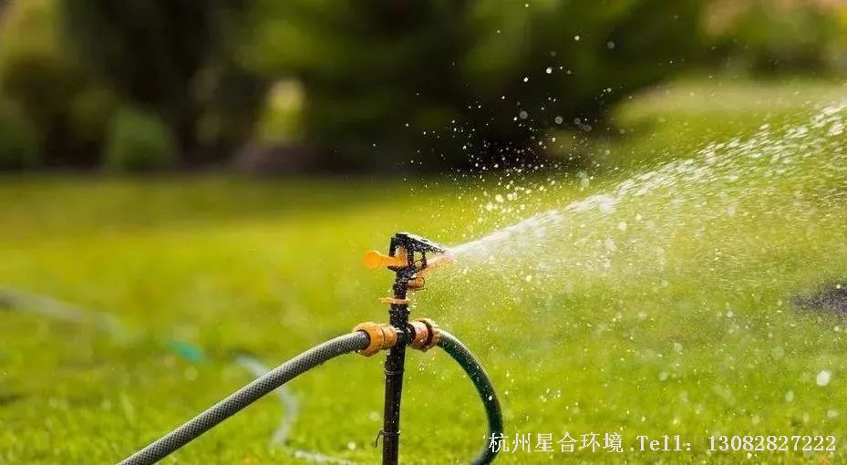 草坪养护