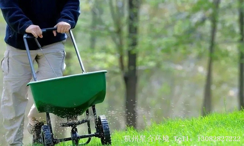 施肥时间可选择在秋末最后一次草坪养护前后；施肥原则上应以钾肥为主，控制氮肥用量，增大钾肥用量可有效提高草坪抗冻性，利于根系安全越冬。