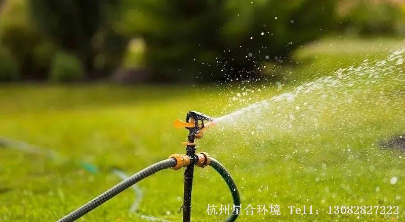 草坪养护浇封冻水时应注意要保证浇足浇透，避免只浇表土，一般浇水深度可达30cm左右，使土壤水分接近饱和，草坪根系也可吸收充足的水分，满足其休眠季生命活动需要。