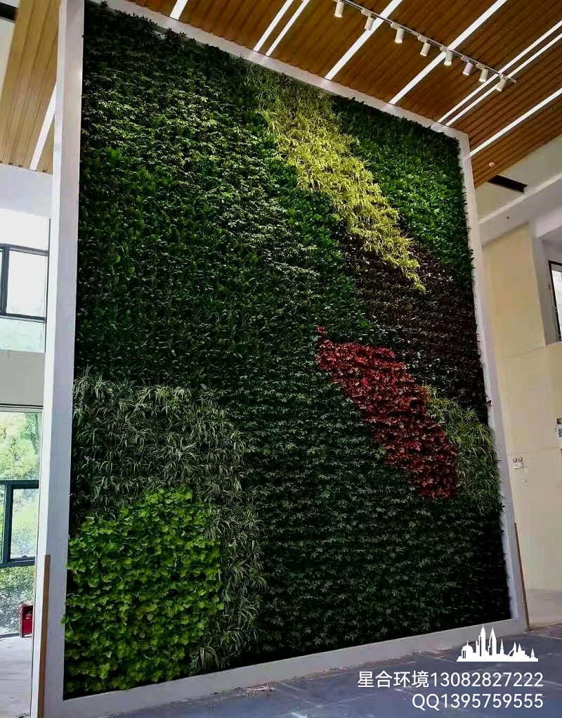 立体植物墙