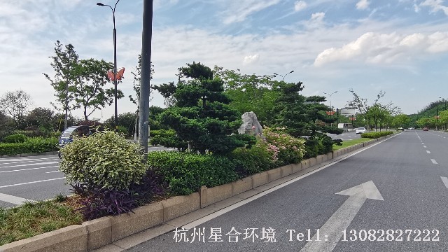 市政绿化养护-如何做好秋季市政绿化养护