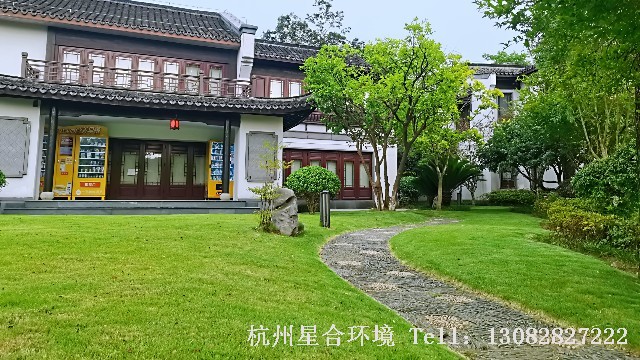 庭院绿化养护